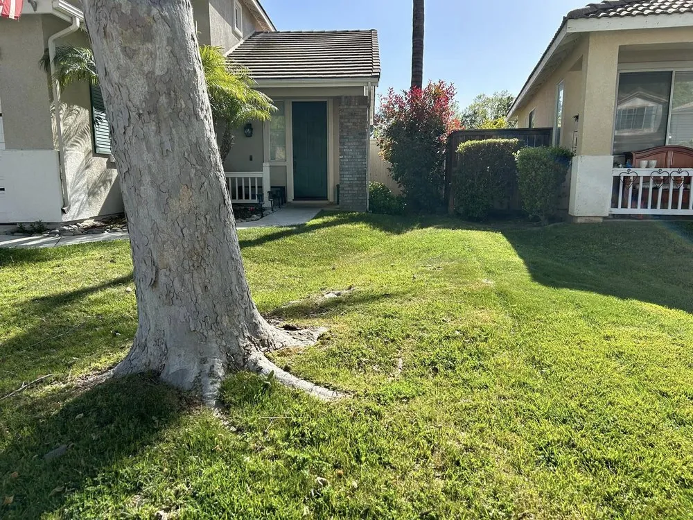 Professional lawn care service in Murrieta, CA by Lets Do it Pro Landscaping