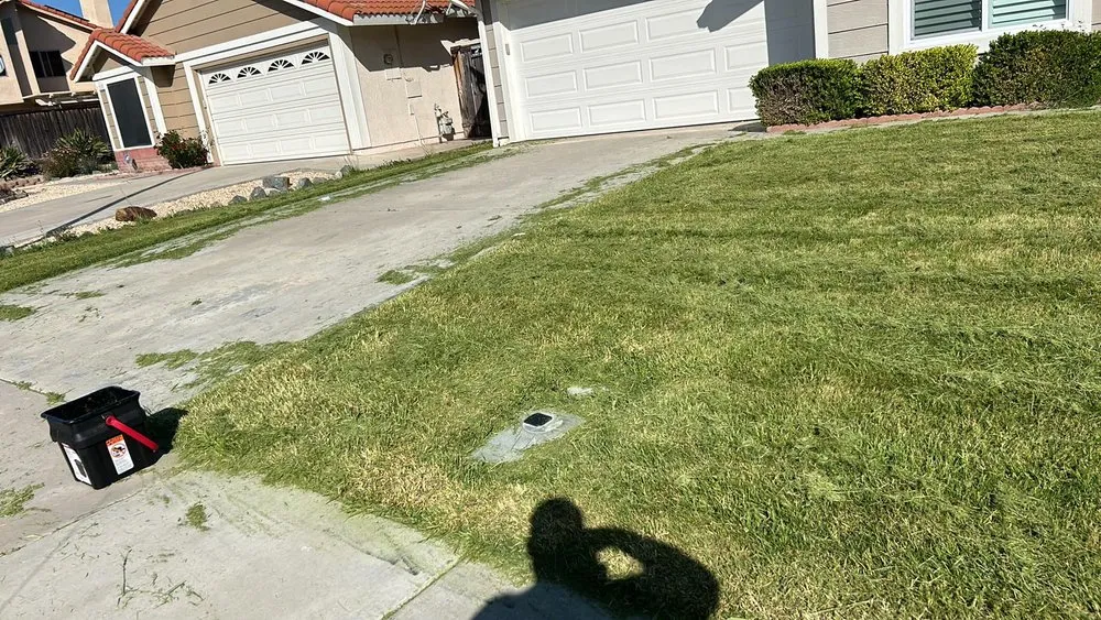 Expert landscape design experts serving Murrieta, CA - Lets Do it Pro Landscaping