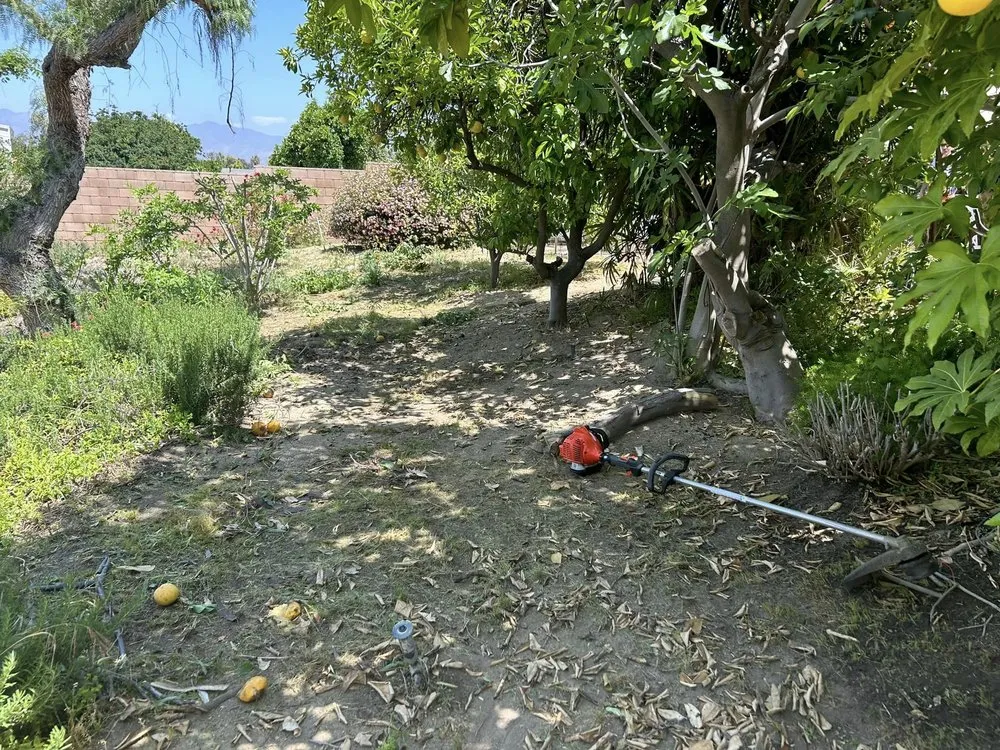 Custom landscaping services near you in Murrieta, CA by Lets Do it Pro Landscaping