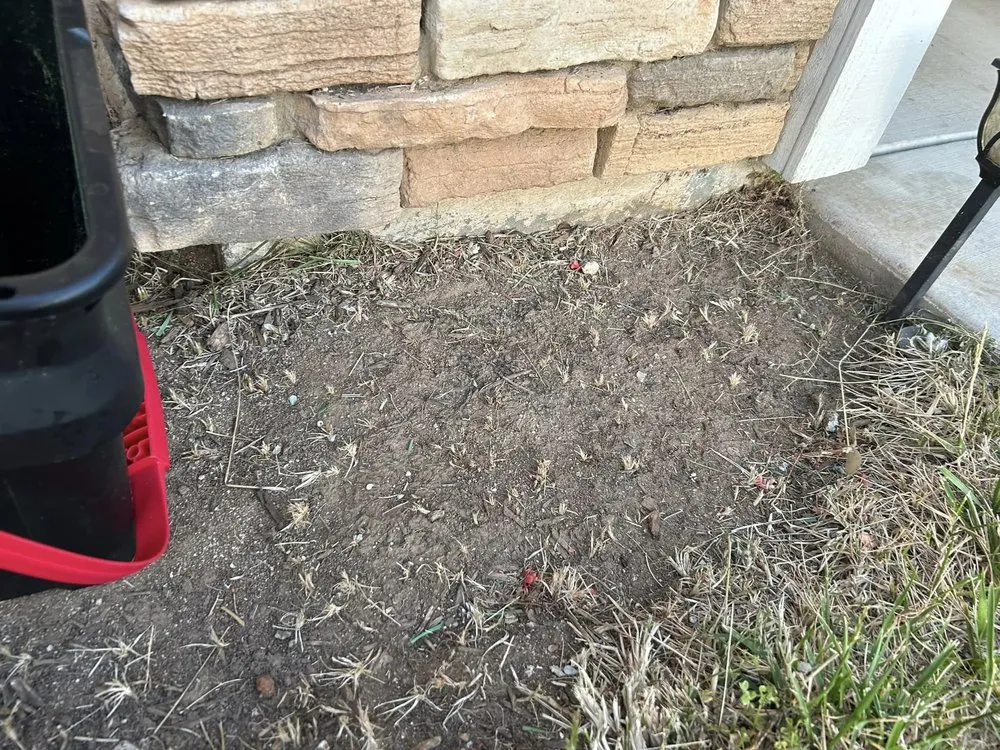 Custom outdoor landscaping in Murrieta, CA - Lets Do it Pro Landscaping