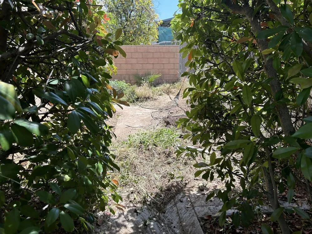 Affordable landscaping services in Murrieta, CA by Lets Do it Pro Landscaping