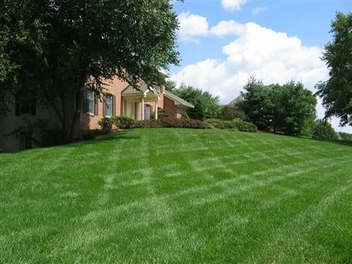 Reliable residential landscaping in Wilmington, DE - Let's Get Green