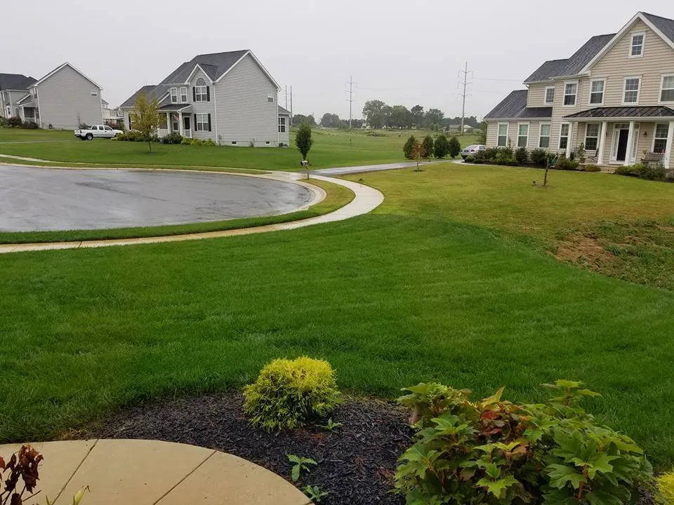 Expert yard maintenance in Wilmington, DE by Let's Get Green