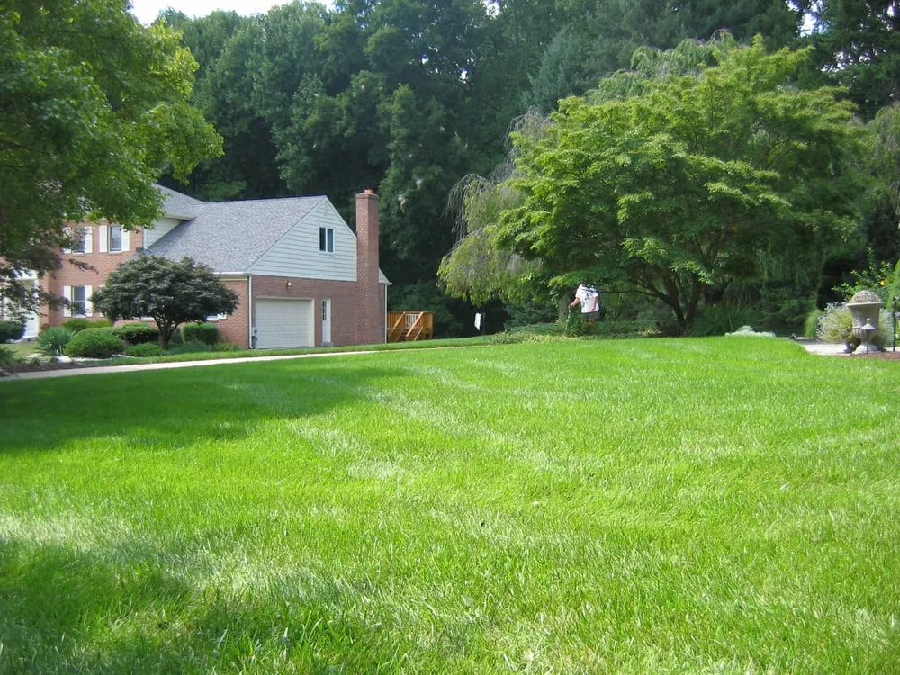 Affordable lawn care service for year-round maintenance across Wilmington, DE - Let's Get Green