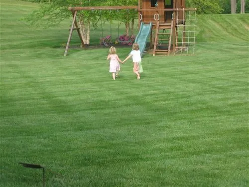 Affordable landscaping services experts serving Wilmington, DE - Let's Get Green