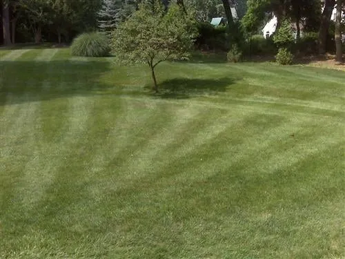 Reliable landscape installation near you across Wilmington, DE - Let's Get Green