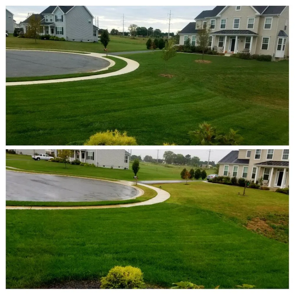 Custom garden landscaping in Wilmington, DE - Let's Get Green