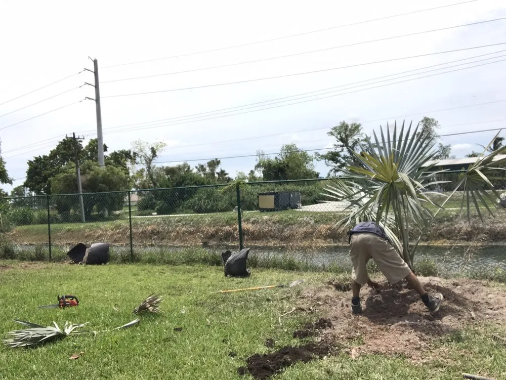 Reliable yard cleanup service experts serving Homestead, FL - Let's Get it done Landscaping