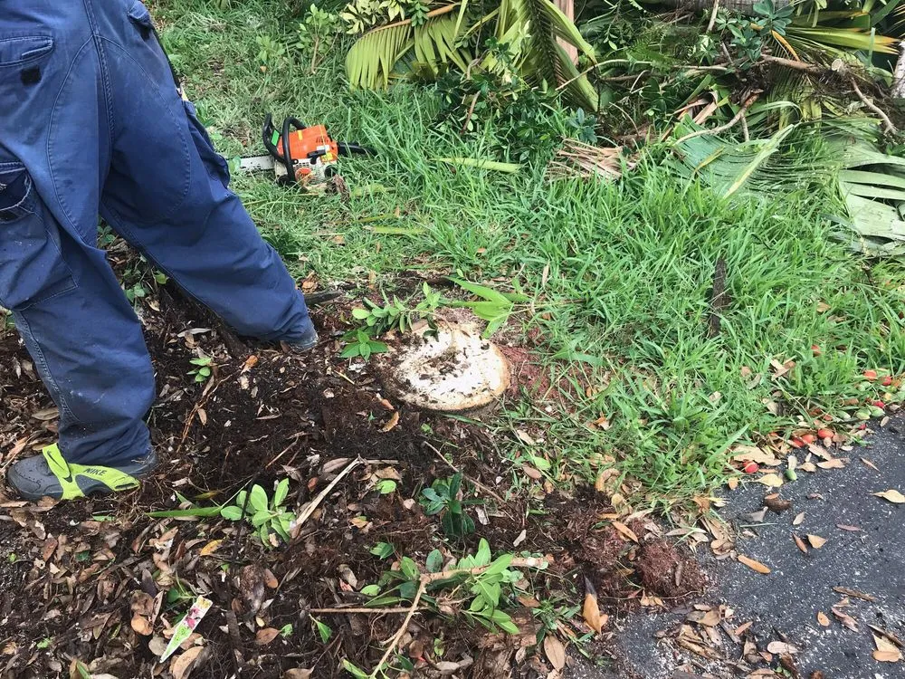 Local residential landscaping experts serving Homestead, FL - Let's Get it done Landscaping