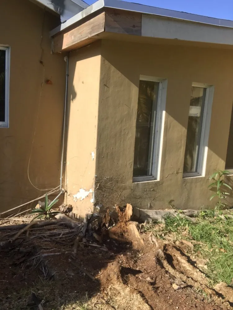 Custom yard maintenance for beautiful yards in Homestead, FL by Let's Get it done Landscaping