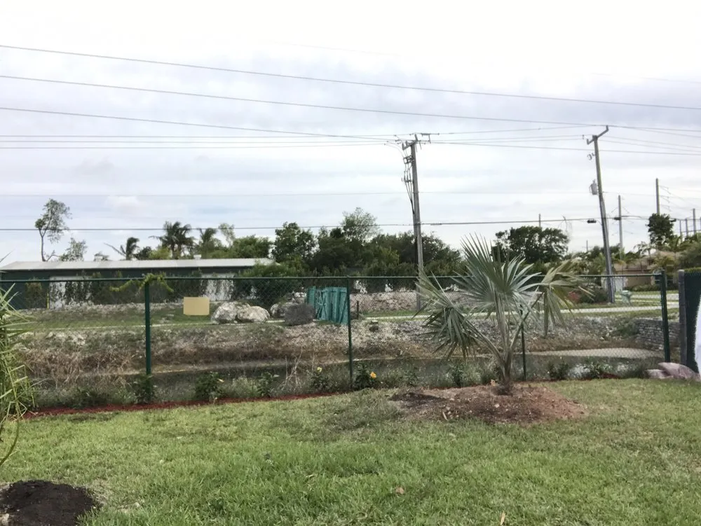 Reliable yard maintenance experts serving Homestead, FL - Let's Get it done Landscaping