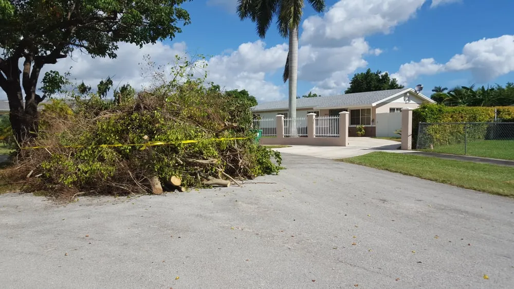 Trusted yard cleanup service for beautiful yards in Homestead, FL by Let's Get it done Landscaping