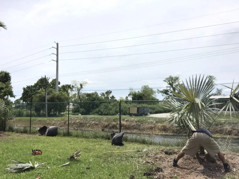 Reliable landscape installation in Homestead, FL by Let's Get it done Landscaping