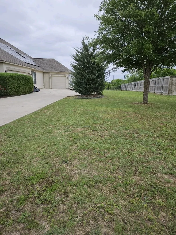 Top-rated residential landscaping near you in Saint Hedwig, TX by Let's Get It Lawncare Services