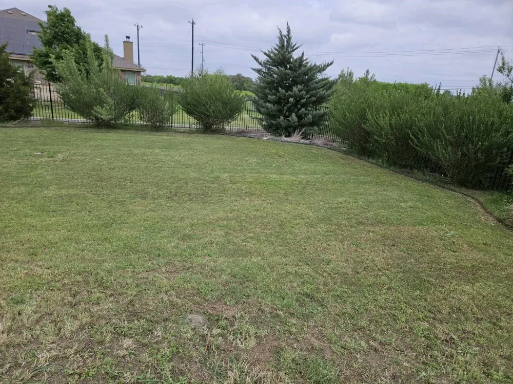 Reliable landscape design in Saint Hedwig, TX by Let's Get It Lawncare Services