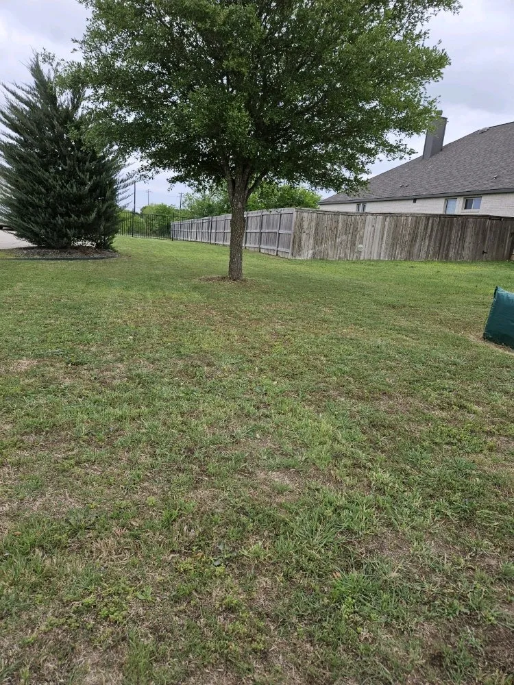 Local outdoor landscaping in Saint Hedwig, TX - Let's Get It Lawncare Services