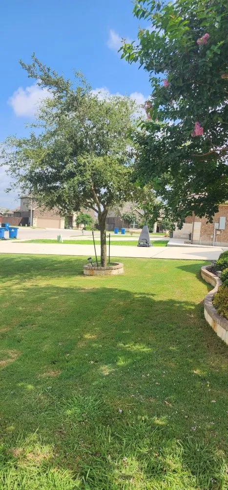 Top-rated lawn care service for homes in Saint Hedwig, TX by Let's Get It Lawncare Services