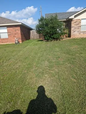 Let's Go Landscape Logo