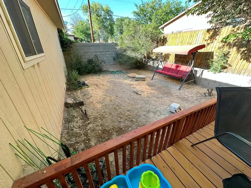 Professional lawn care service near you across Fruitland, NM - Let’s Go Landscaping