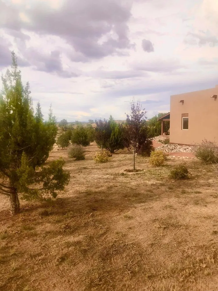 Trusted landscaping services experts serving Fruitland, NM - Let’s Go Landscaping