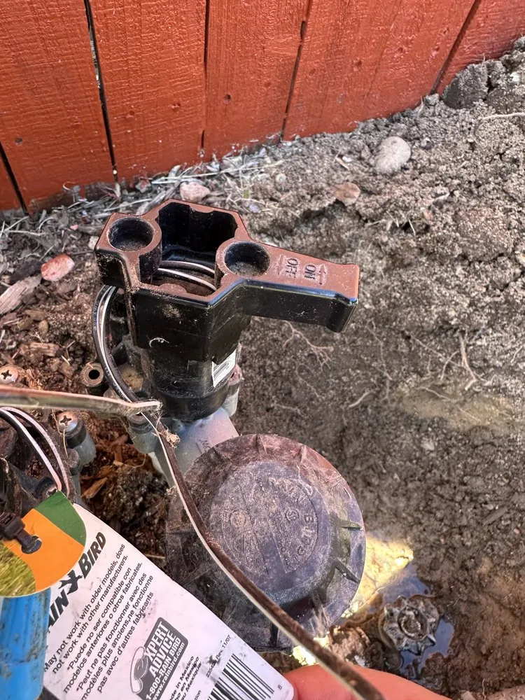 Affordable yard maintenance in Fruitland, NM by Let’s Go Landscaping