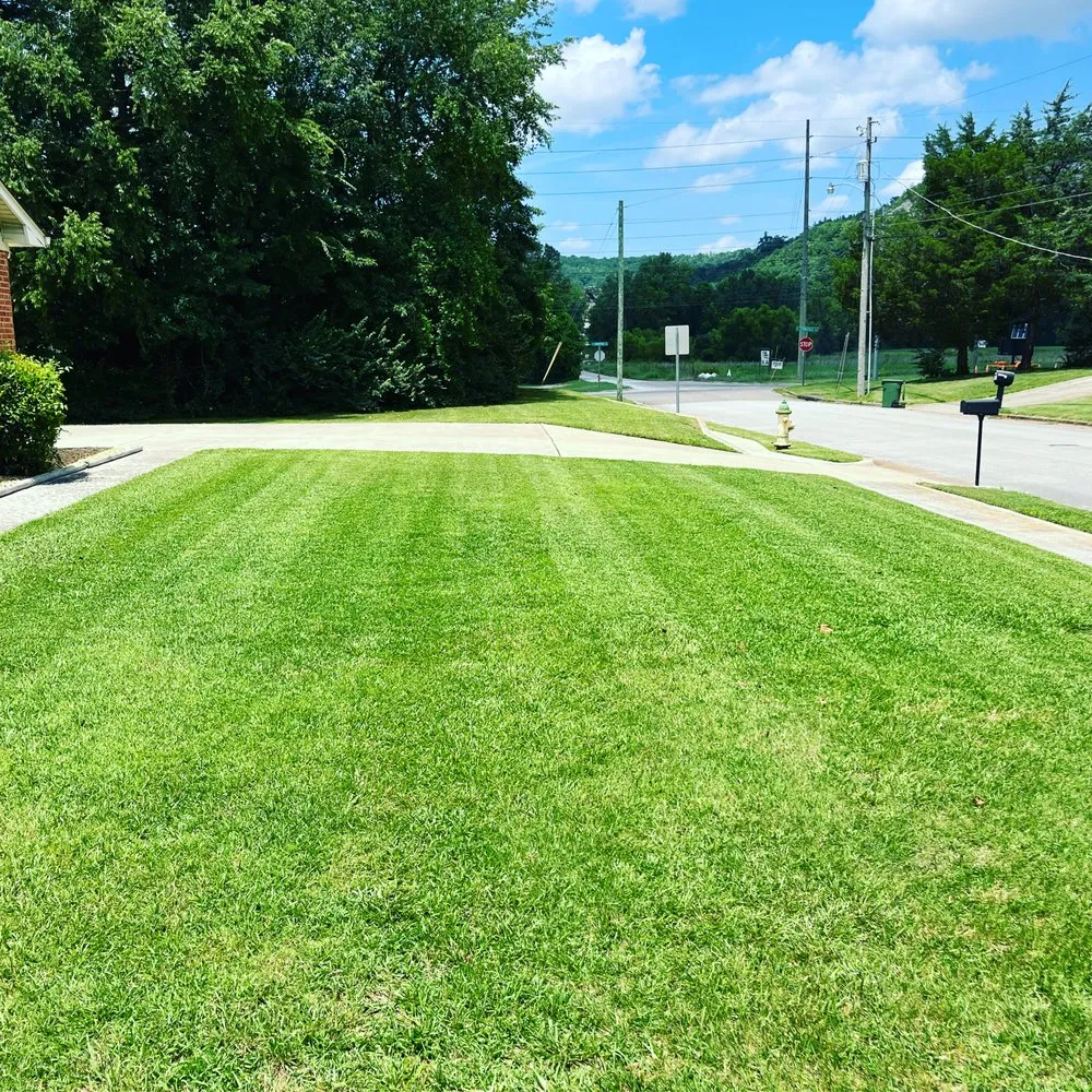 Local lawn care service with custom design in Madison, AL by Let’s Go Lawn Services