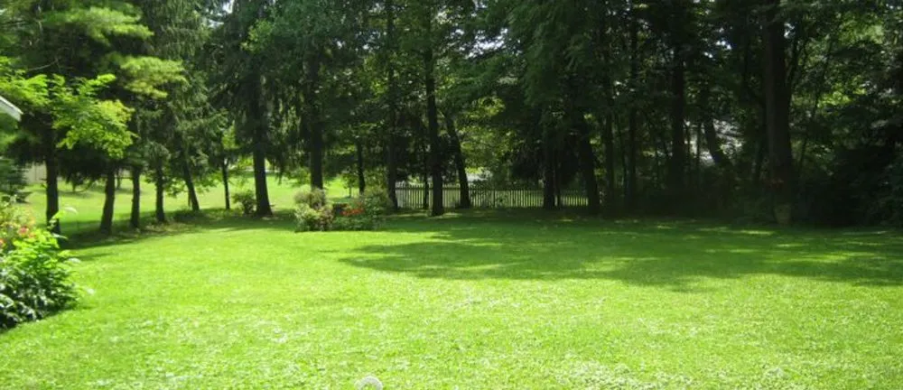 Custom lawn mowing service in Fort Pierce, FL by Let’s Grow Law Service