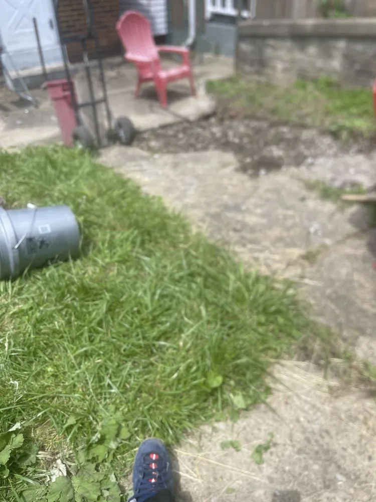 Custom yard cleanup service in Pittsburgh, PA by Let’s Make it Right