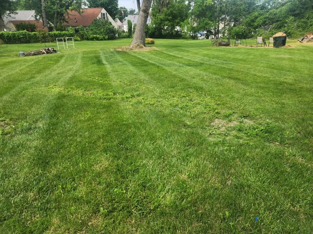 Professional lawn mowing service experts serving Cedar Rapids, IA - Letsch Lawn & Landscape