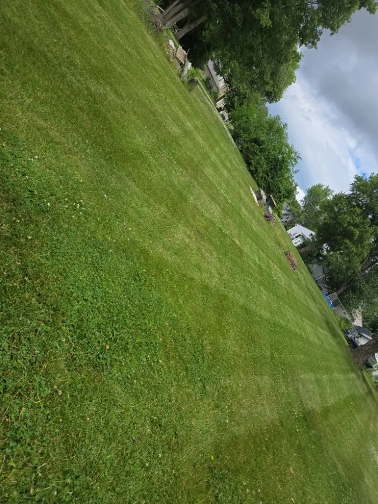 Expert lawn care service for homes in Cedar Rapids, IA by Letsch Lawn & Landscape