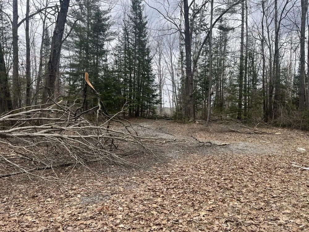 Expert outdoor landscaping in Atlanta, MI - Letts C Excavating