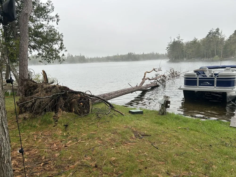 Custom yard cleanup service in Atlanta, MI - Letts C Excavating