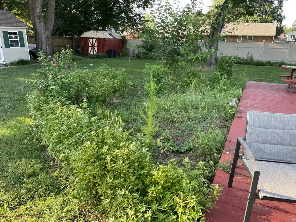 Local lawn mowing service for outdoor upgrades in Chesterfield, VA by Lett’s Do It