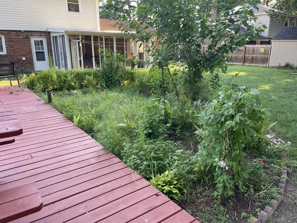 Affordable yard maintenance for beautiful yards across Chesterfield, VA - Lett’s Do It