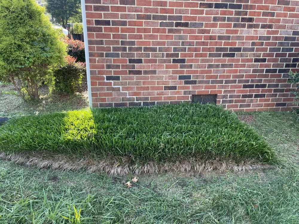 Expert lawn mowing service for outdoor upgrades in Chesterfield, VA by Lett’s Do It