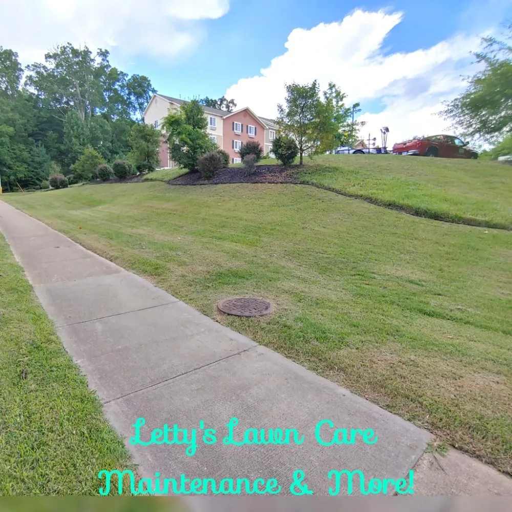 Trusted yard cleanup service in Candler, NC by Letty's Lawn Care Maintenance & More