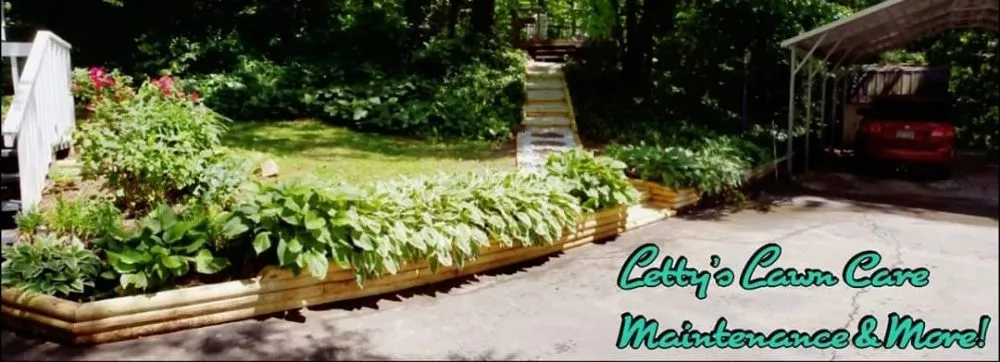 Local yard cleanup service in Candler, NC by Letty's Lawn Care Maintenance & More