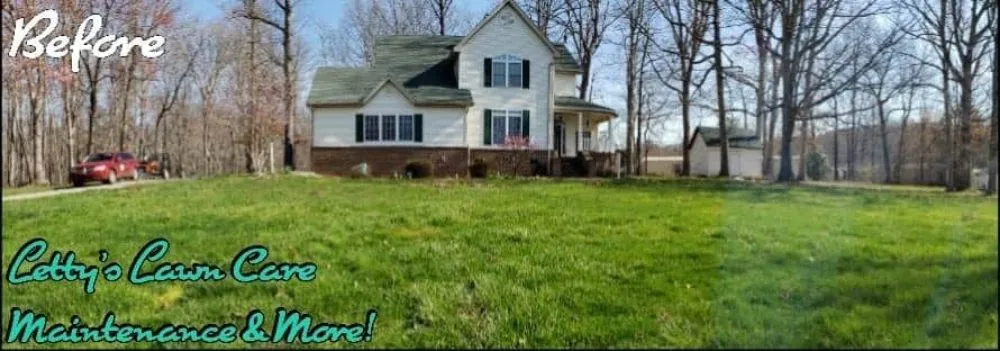 Affordable lawn care service in Candler, NC - Letty's Lawn Care Maintenance & More