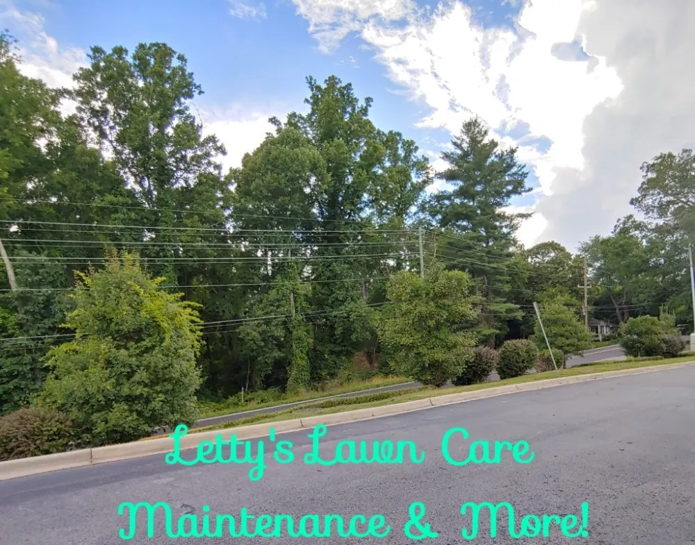 Expert landscape installation for homes across Candler, NC - Letty's Lawn Care Maintenance & More