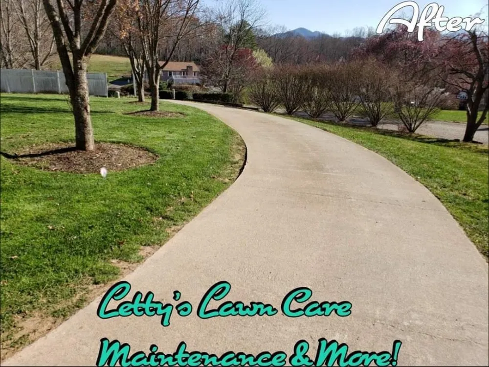 Affordable lawn mowing service in Candler, NC by Letty's Lawn Care Maintenance & More