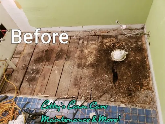 Letty's Lawn Care Maintenance & More Logo