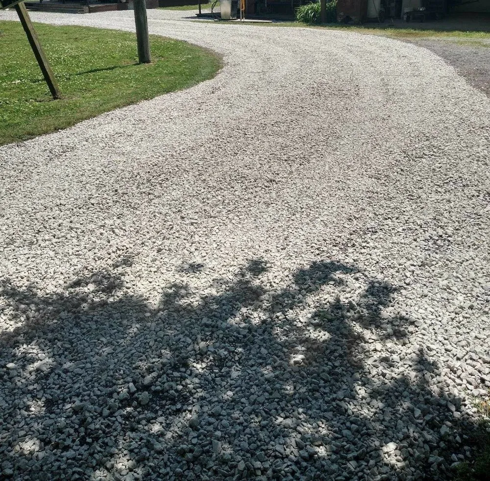 Trusted lawn care service experts serving Paragould, AR - Letz Chat