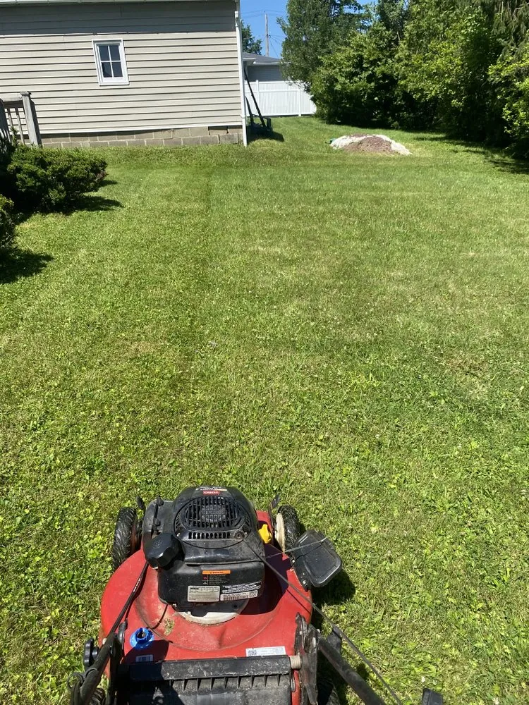 Reliable yard cleanup service in Jamestown, NY by Let'z Mow It