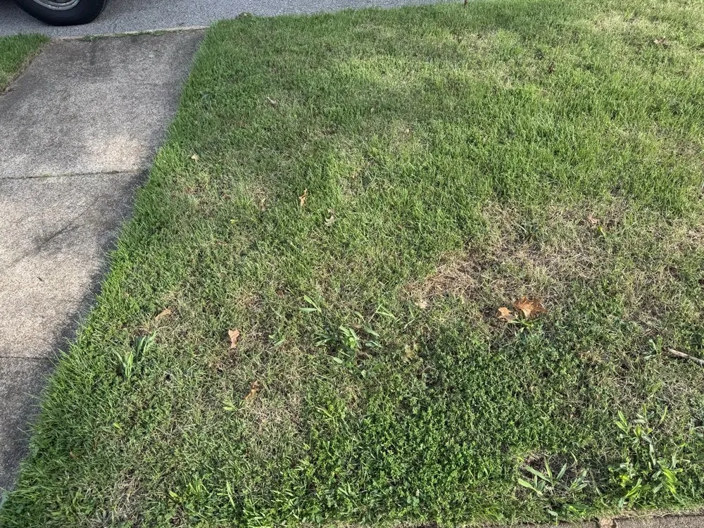 Local garden landscaping in Florissant, MO by Levan's Lawn & Landscape