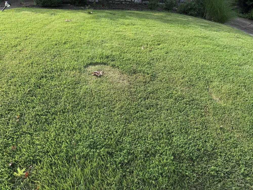 Affordable residential landscaping with custom design in Florissant, MO by Levan's Lawn & Landscape