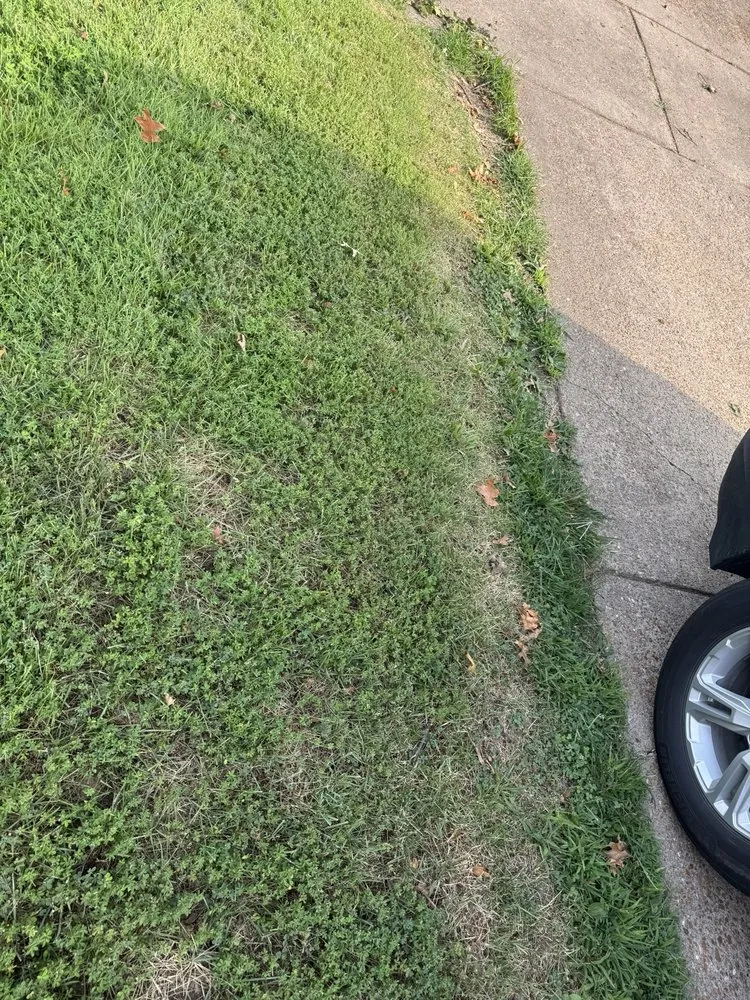 Professional lawn care service experts serving Florissant, MO - Levan's Lawn & Landscape