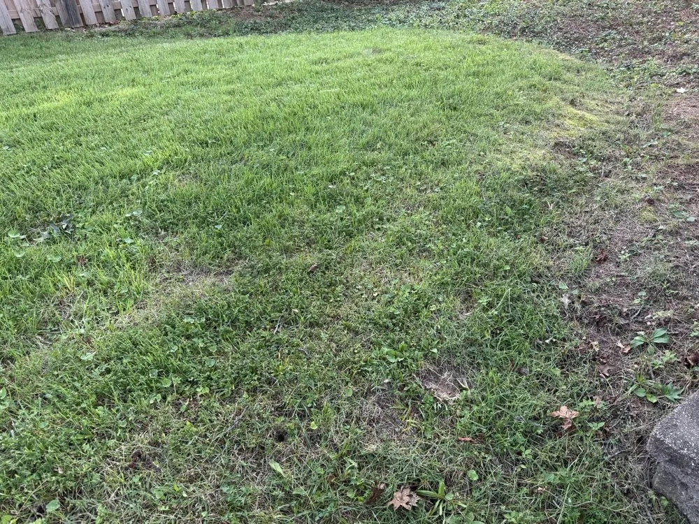 Trusted landscape design experts serving Florissant, MO - Levan's Lawn & Landscape