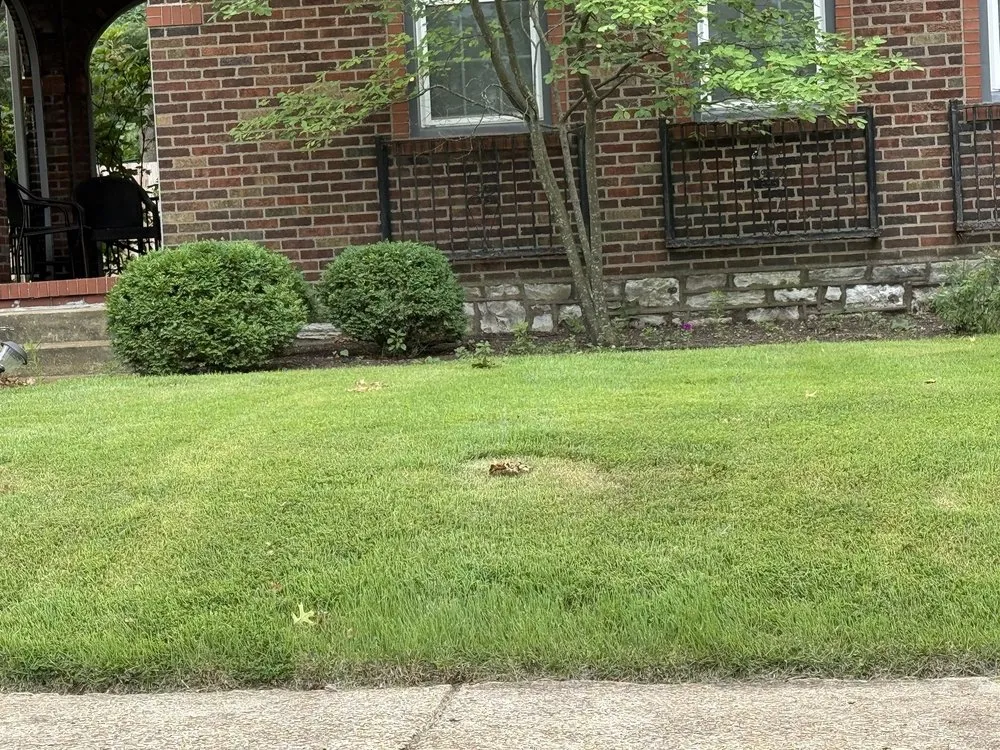 Reliable yard maintenance for residential properties in Florissant, MO by Levan's Lawn & Landscape