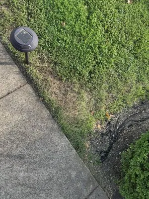 Levan's Lawn & Landscape