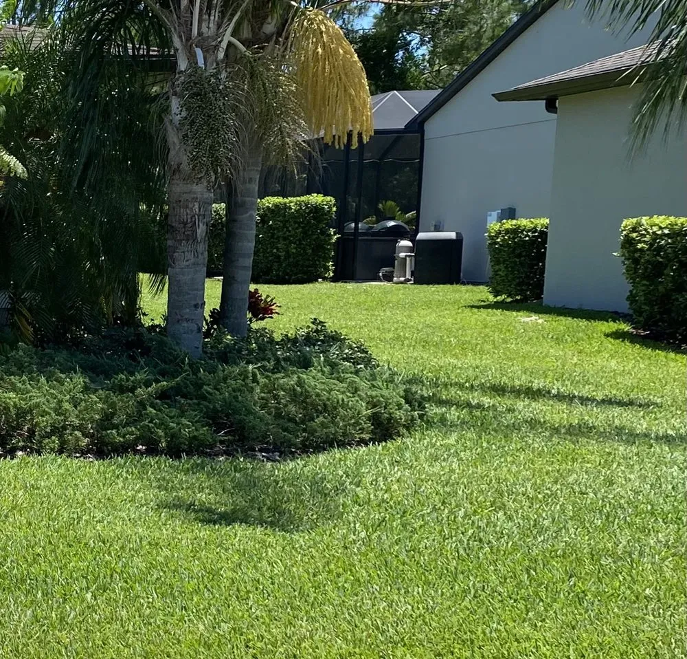 Custom yard cleanup service for year-round maintenance in Coral Springs, FL by L'evate Lawn Care & Landscaping
